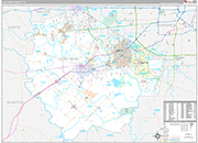 Fort Bend Wall Map Premium Style